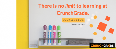 Book an online tutor-Guaranteed ways to improve grades in high school-CrunchGrade